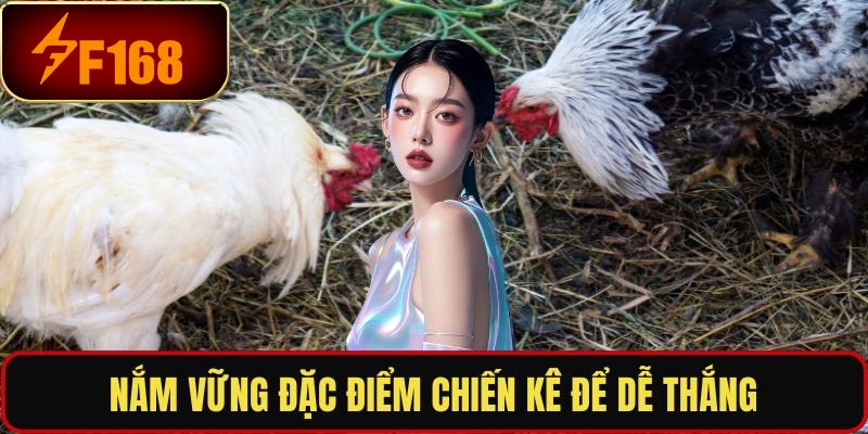 Quy trình vận hành trận đá gà Philippines